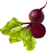 BEETROOT