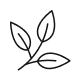 Pure Ceylon Tea icon