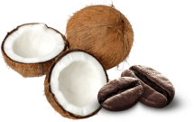 Coconut