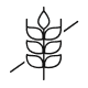 Gluten Free icon