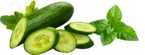 Cucumber
