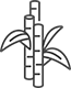 Raw Sugar icon