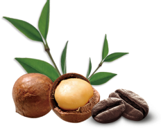 Macadamia Coffee Syrup