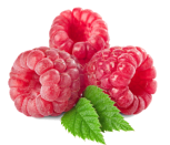 Mixed Berry Smoothie Mix 1 Litre