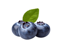 Blueberry Syrup